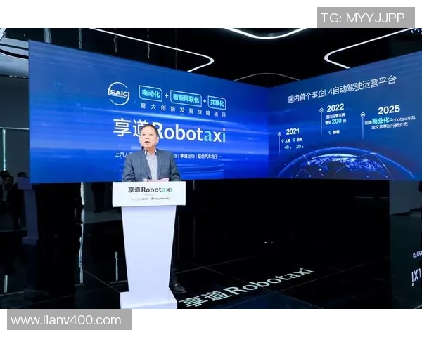 深入分析上海羽毛球队的运营策略与发展模式探讨